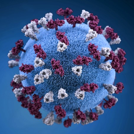 Lesmateriaal over het coronavirus en ziekte